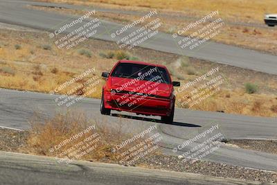 media/Feb-22-2025-Team Topak Racing (Sat) [[cb57a51a40]]/86 Party Brigade/Turns 13 and 14/
